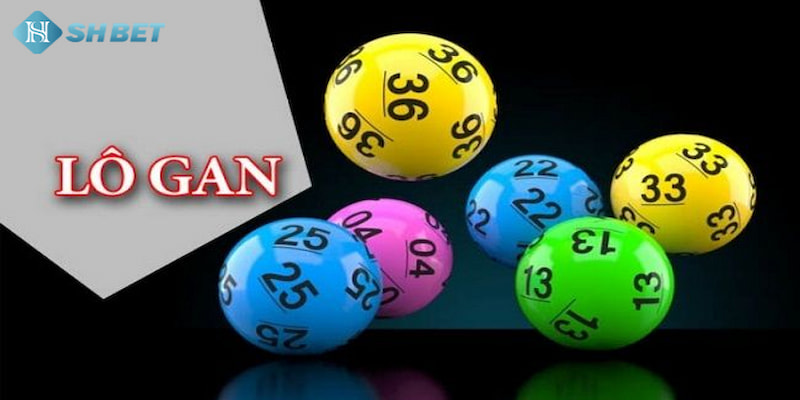 Banner www.firewall.com.vn