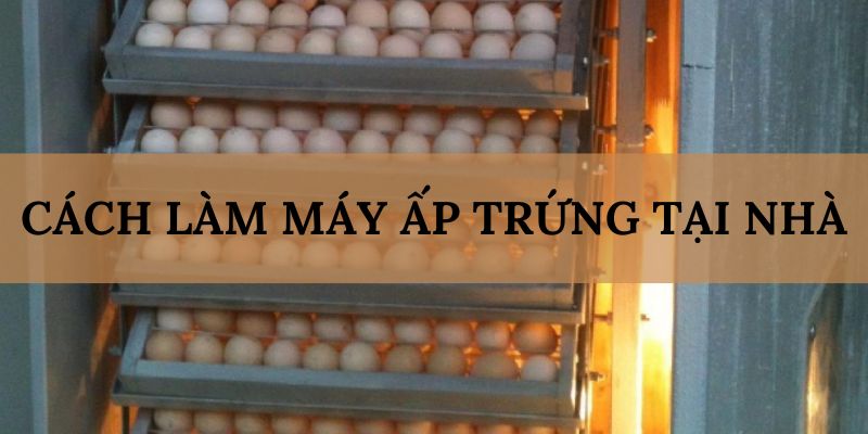 Banner www.firewall.com.vn