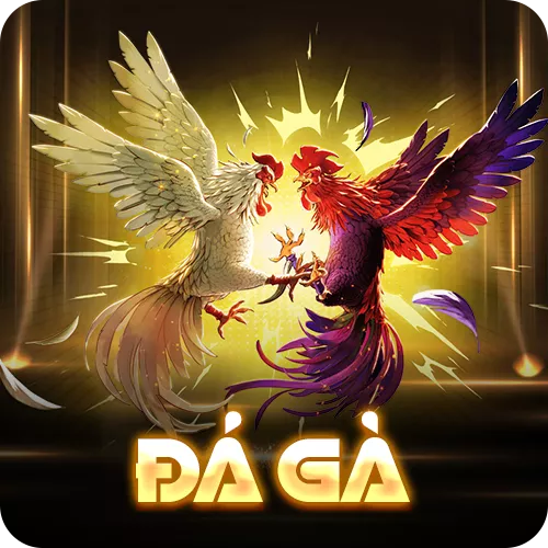 Banner www.firewall.com.vn