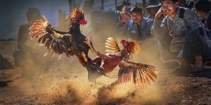 Banner www.firewall.com.vn