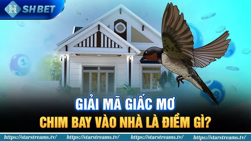 Banner www.firewall.com.vn