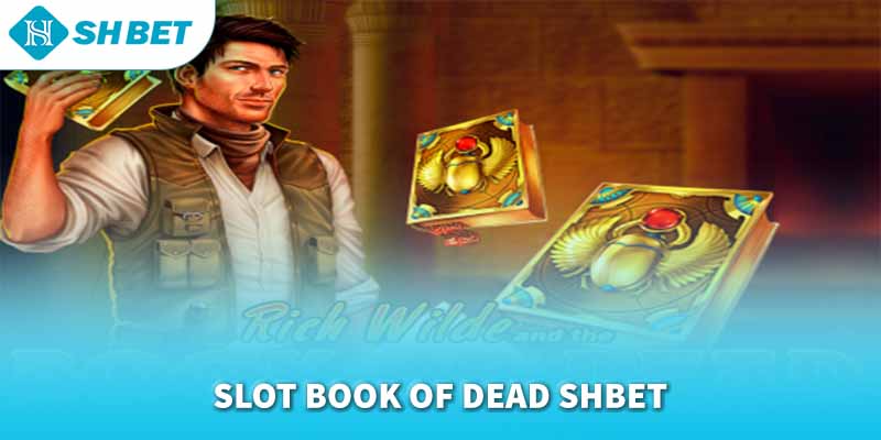 Banner www.firewall.com.vn