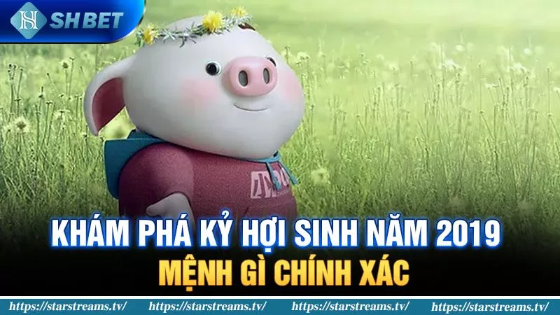 Banner www.firewall.com.vn