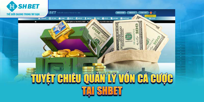 Banner www.firewall.com.vn